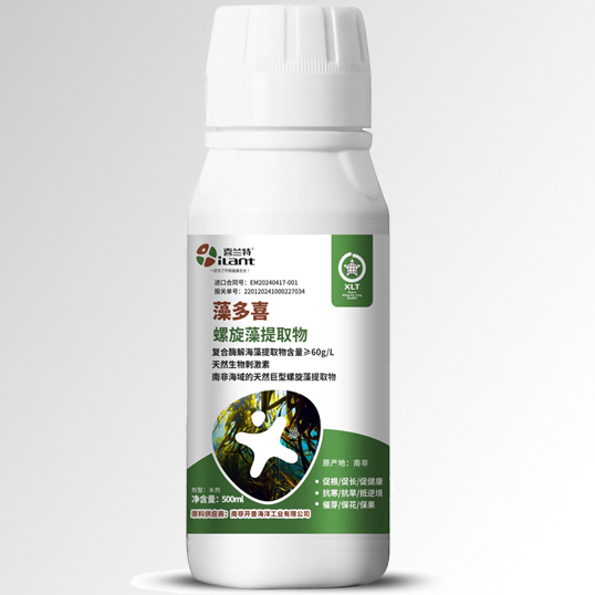 ���ϲ �Ϸǽ��������庣���