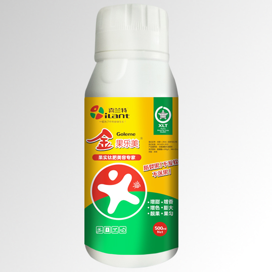 ������� �ѷ���������Һ