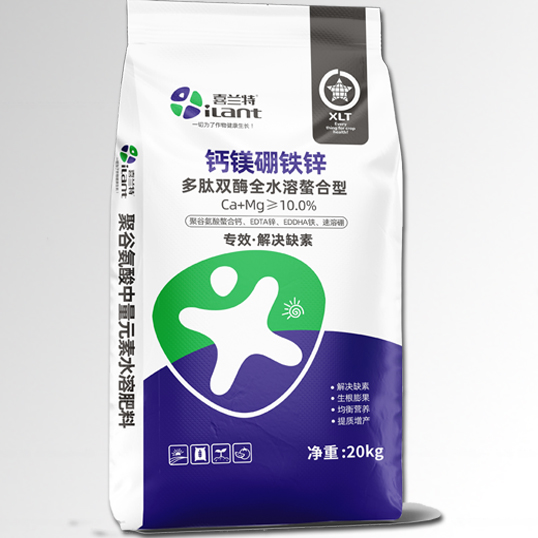 �۹Ȱ����þ��п��